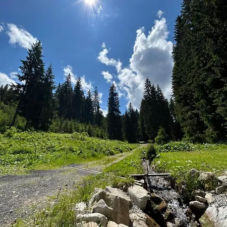 Casa Mia Jasna - Apartment Demänovská Dolina
