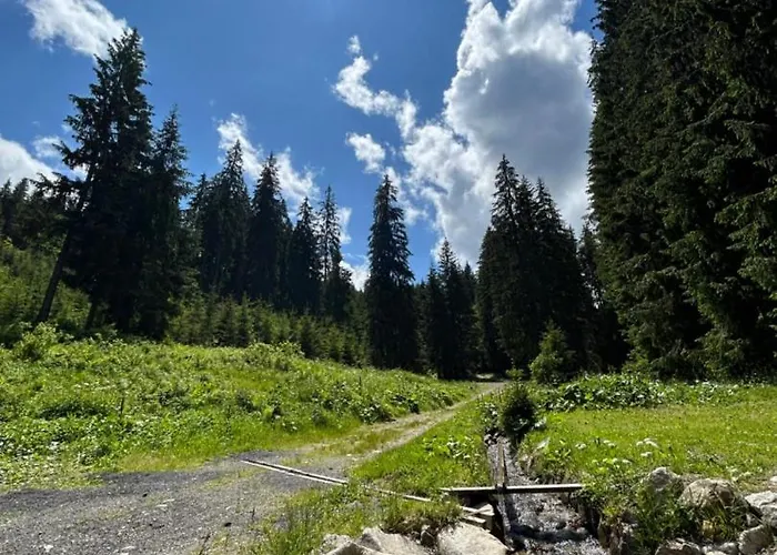 Casa Mia Jasná - Apartmán Demanovská Dolina